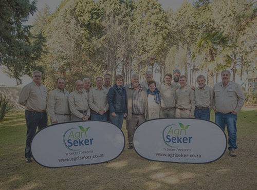 team-limpopo-gauteng